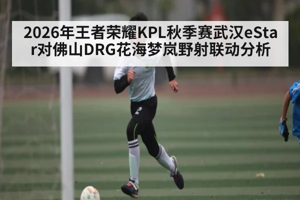 2026年王者荣耀KPL秋季赛武汉eStar对佛山DRG花海梦岚野射联动分析
